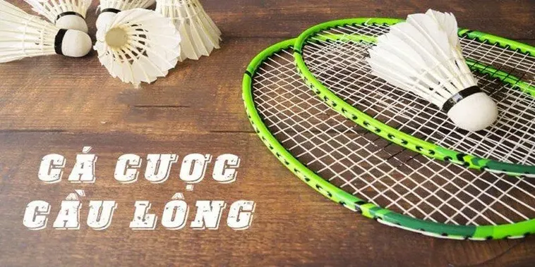 Hướng Dẫn Cá Cược Cầu Lông W88 Dễ Thắng Cho Người Mới