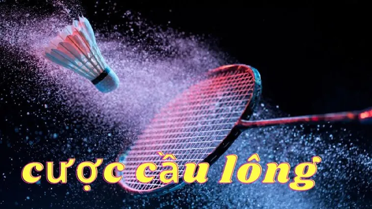 Hướng Dẫn Cá Cược Cầu Lông W88 Dễ Thắng Cho Người Mới