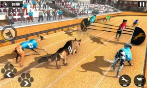 Hướng Dẫn Cách Chơi Game Nhanh Đua Chó Tại W88 Chuẩn Xác